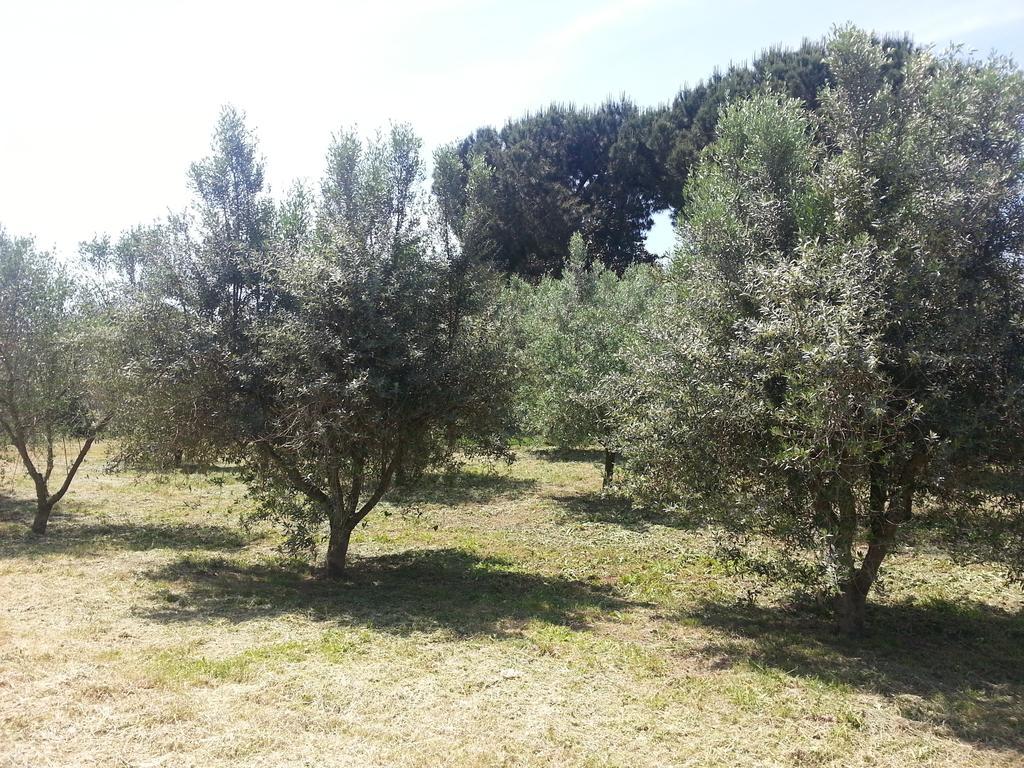 La Finestra Sul Cortile * Pomezia
