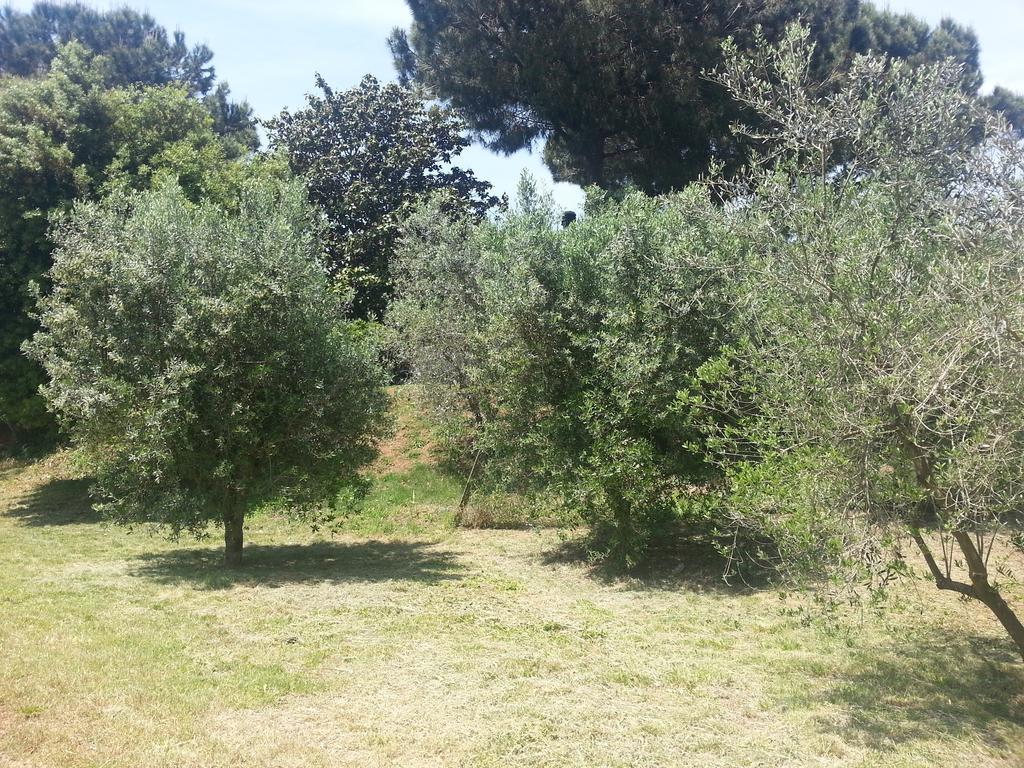 La Finestra Sul Cortile
